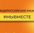 Артемовские волонтеры обработали 190 заявок - Артемовский городской округ